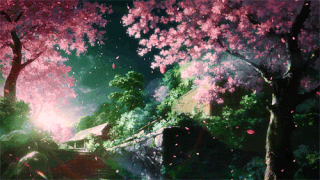 haruka | Japan Amino haruka | Japan Amino
