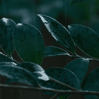 c1bb336520e29c3a7ffba579a25d27c5bc0d4f35r1-500-500_00.gif