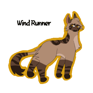 warrior cats wind runner
