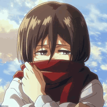 Mikasa Ackerman | Wiki | Attack On Titan Amino