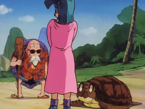 What the hell Bulma? 
