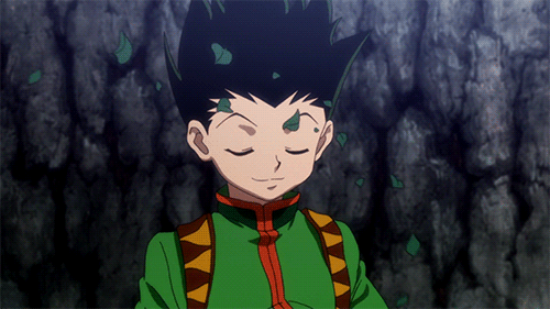 Gon Freecss | Wiki | Anime Amino