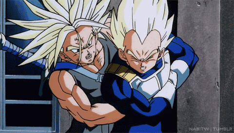does vegeta love trunks