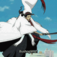 Shunsui Kyōraku vs. Coyote Starrk: Final Fight | Wiki | Anime Amino