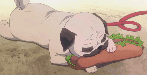 Pugs | Wiki | Anime Amino
