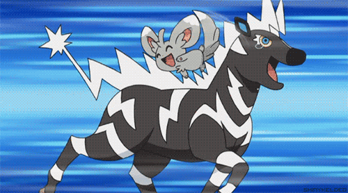 zebra pokemon game player