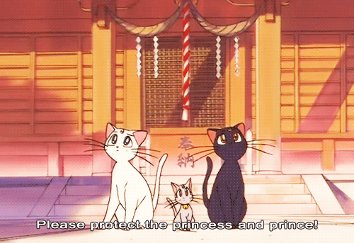 Luna Artemis And Diana Wiki Anime Amino