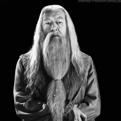Albus Percival Wulfric Brian Dumbledore Wiki Harry Potter Amino
