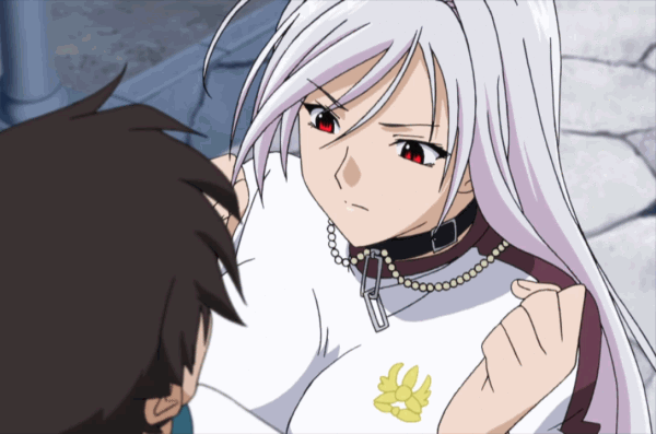 Rosario + Vampire: Another Harem, but this time with Monsters and Fantasy c...
