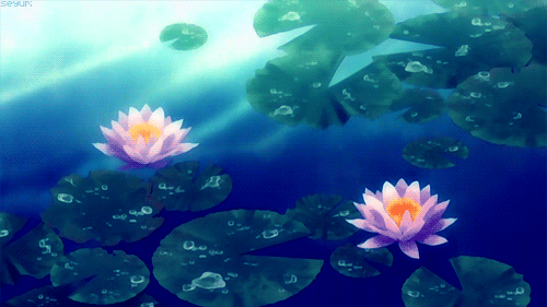 new inventions: Blue Lotus Flower Gifs