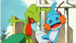 [PokeCommunity.com] Last Letter!