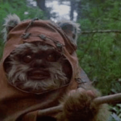 Yamaguchi ewok. Уикет Звездные войны. Эвоки битва за Эндор ведьма. Эвоки Звёздные войны.