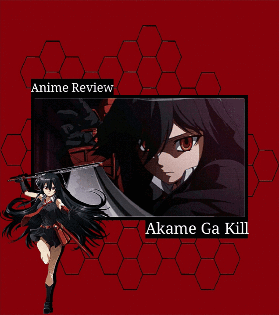 Akame Ga Kill Review | Anime Amino