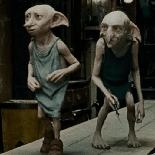 S.P.E.W. Harry Potter Amino