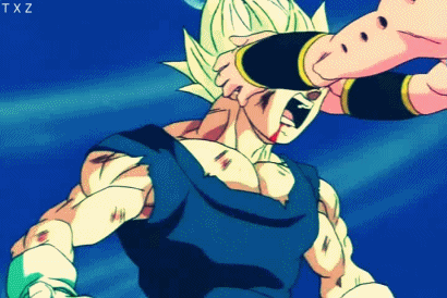 Top 10 Favorite Fights in Dragon Ball Z | Anime Amino