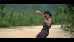 drunken-fist-fighting-style