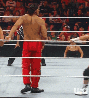 WWE mistakes never seen hilarious