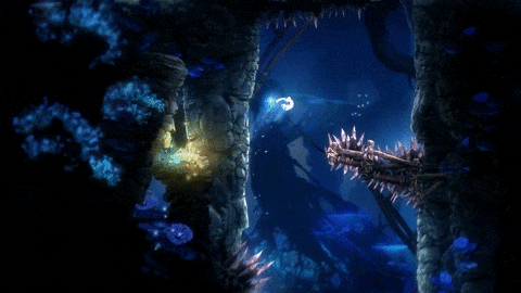 78528c8d8af939b88a9513fb855f76f224229528