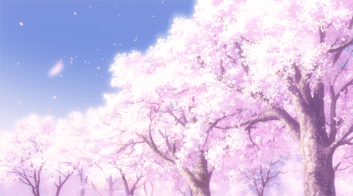 Sakura Trees! (Cherry Blossom Trees) | Anime Amino