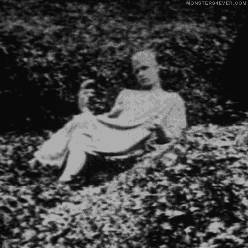 BEGOTTEN (1991) Review | Horror Amino