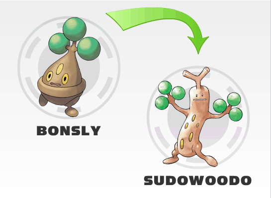 Bonsly The Elements Pokemon Amino