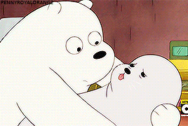 Image result for ice bear and seal
