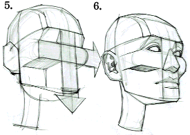 Drawing Tutorial-Head | Wiki | Art Amino