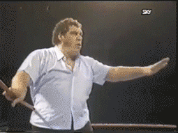 a728e5e8506df9635482d7cfff5d7c420dcffe74_hq.gif