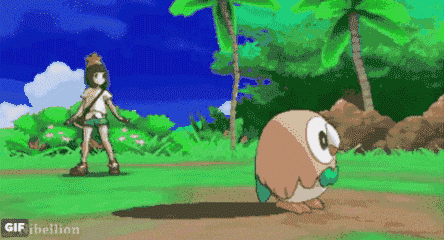 rowlet gifs | Pokémon Amino