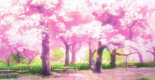 Animated Cherry Blossom Tree Wallpaper Gif - Danish Fowler