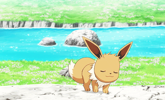 Eevee Dance | Pokémon Amino