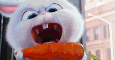 the secret life of pets movie animated gif the secret life of pets movie animated gif