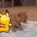 500725e1a67479dbc47002c9b14326e54ea3fef2_128.gif