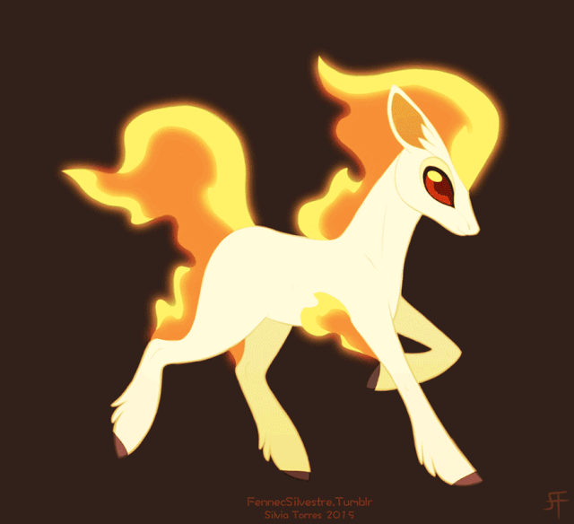 ponyta teddy