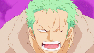 how zoro lost an eye | One Piece Amino