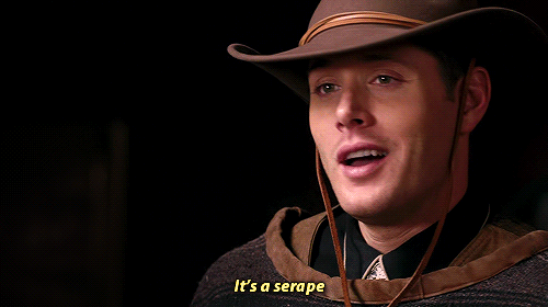 gif of Dean from Supernatural saying "it's a serape"