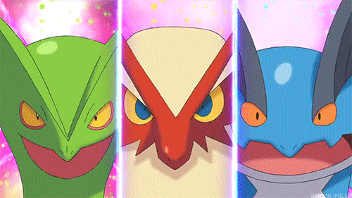bluse vejr sundhed Good in-game team for ORAS | Pokémon Amino