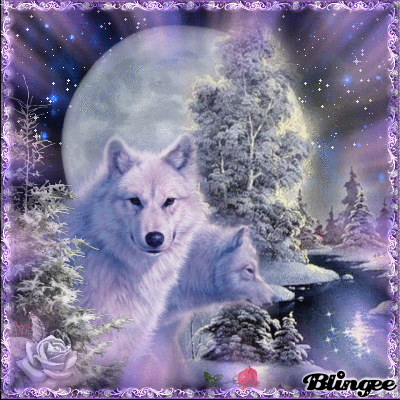 Blingee wolf picture(s) | Wolf Pack Amino Amino