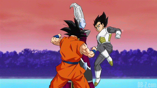 Will Goku and Vegeta Surpass Whis | DragonBallZ Amino
