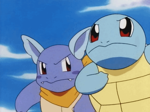 wartortle teddy