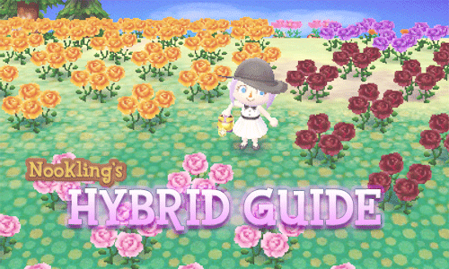 How To: Hybrid Flower Guide | Wiki | Animal Crossing Amino