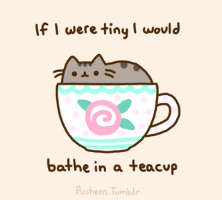 baby pusheen cat