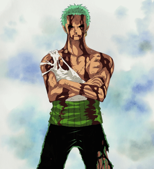 Happy Birthday Zoro! | One Piece Amino