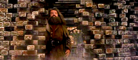 Resultado de imagem para gif harry potter e hagrid beco diagonal