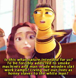 BEE MOVIE GIFS | Wiki | The Bee Movie Fans Amino