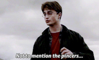 Harry potter (potah) | Wiki | •Harry Potter• Español Amino