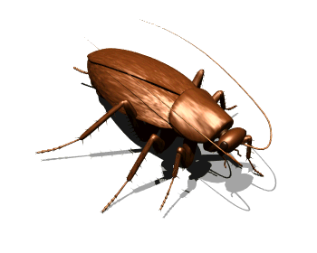 La cucaracha | •Miraculous Ladybug Español• Amino