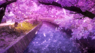 sakura flower gif - Varto