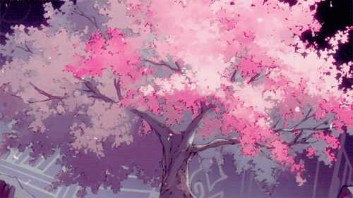 Cherry blossom gif | Wiki | Anime Amino