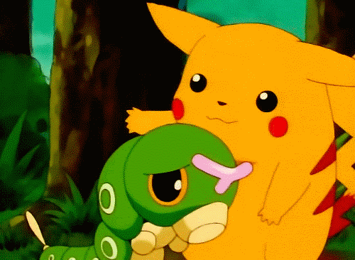 Pikachus Top 5 Best Friends Pokémon Amino